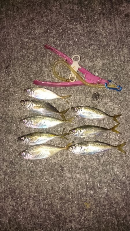 かなり寒くなりました