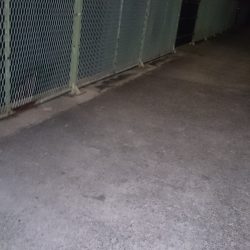 仕事帰りのアジ調査