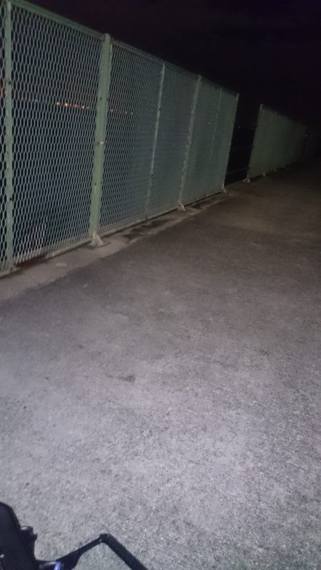 仕事帰りのアジ調査