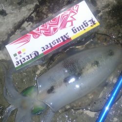 朝マズメ～夕マズメ！ロング釣行