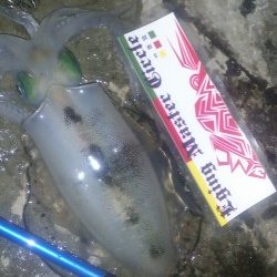 朝マズメ～夕マズメ！ロング釣行