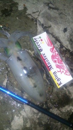 朝マズメ～夕マズメ！ロング釣行