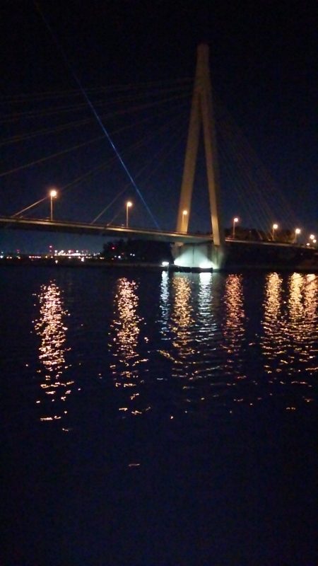 エサ釣りは爆釣でした。