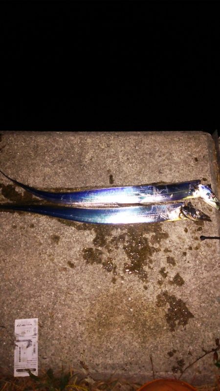 渋い状況での釣果