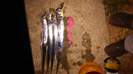 夏タチばっかり(泣)