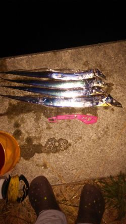 夏タチばっかり(泣)