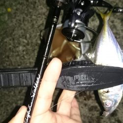 アジング釣行記