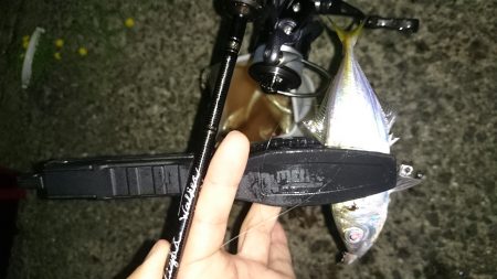 アジング釣行記
