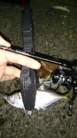 アジング釣行記