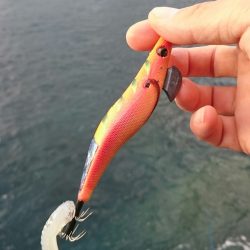 ババ荒れ日本海