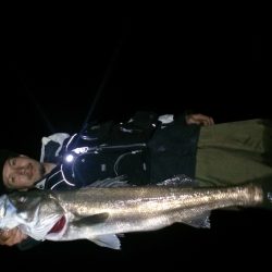 まとまった雨が欲しい