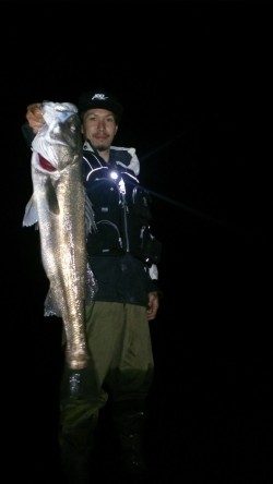 まとまった雨が欲しい