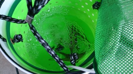 春木ベランダでサビキ釣り