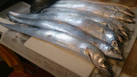 タチウオシーズン