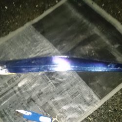 大雨の中、当たり連発