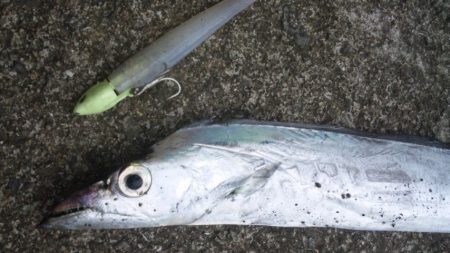タチウオ釣り