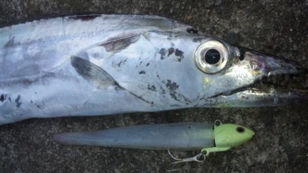 タチウオ釣り