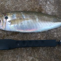 これでいいのだ