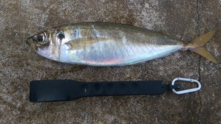 これでいいのだ