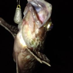 ダブルヘッダー南甲子園浜