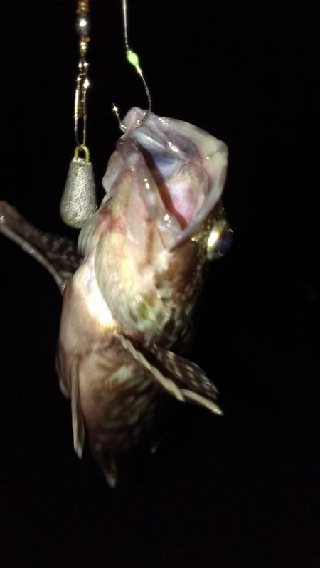 ダブルヘッダー南甲子園浜