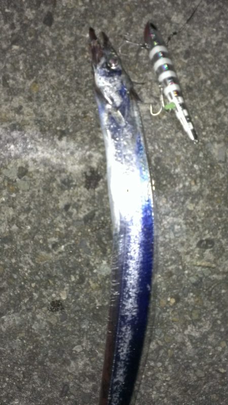 南甲子園浜、ボウズだけは免れる