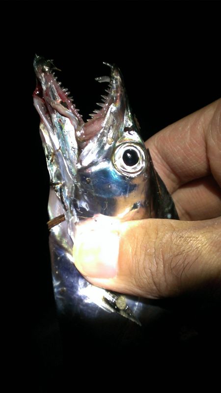 90分一本勝負、本当に一本のみ