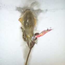 短時間でしたが楽しめました♪