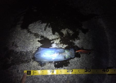 あ～しんどかった(^^;)