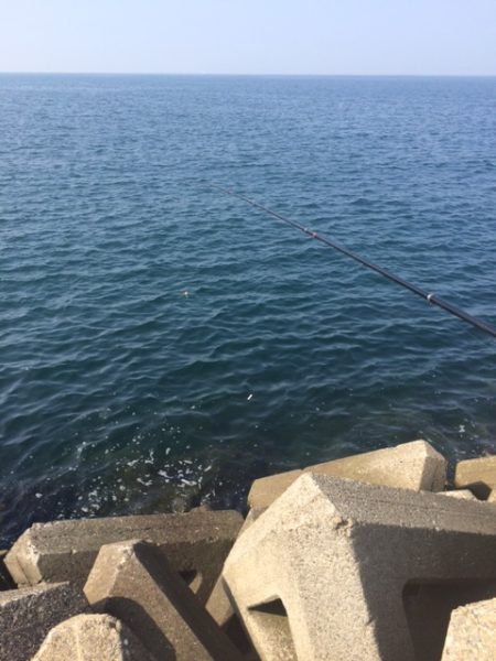 泉大津へグレを・・・・