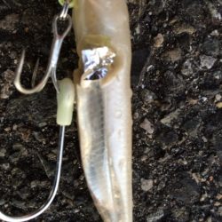 朝イチはイマイチ？