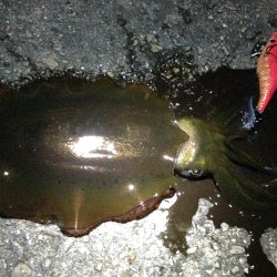 仕事終わりの一杯