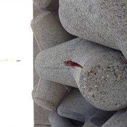 はじめての穴釣り