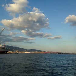 タチウオのはずが。。。