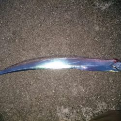 エギング＆ワインド