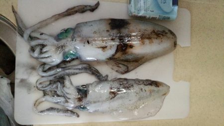 時合は短かったです。