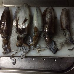 ピンクマーブル