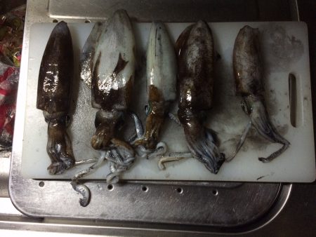 ピンクマーブル