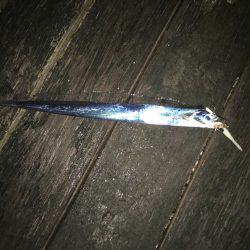 ワインド