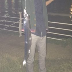 そこそこ釣れてました