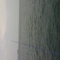 新月大潮なのに