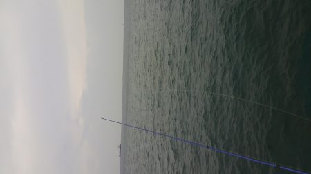 新月大潮なのに