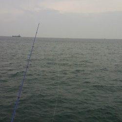 新月大潮なのに