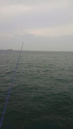 新月大潮なのに