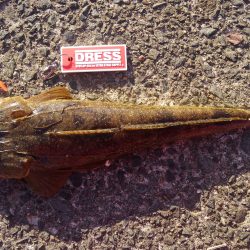 久美浜湾神崎周辺にて