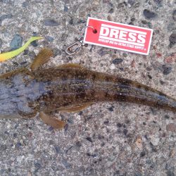 久美浜湾神崎周辺にて