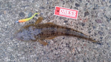 久美浜湾神崎周辺にて