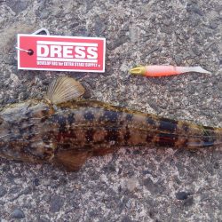 久美浜湾神崎周辺