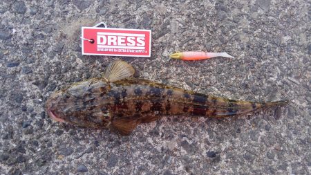 久美浜湾神崎周辺