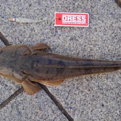 かぶと山公園にて